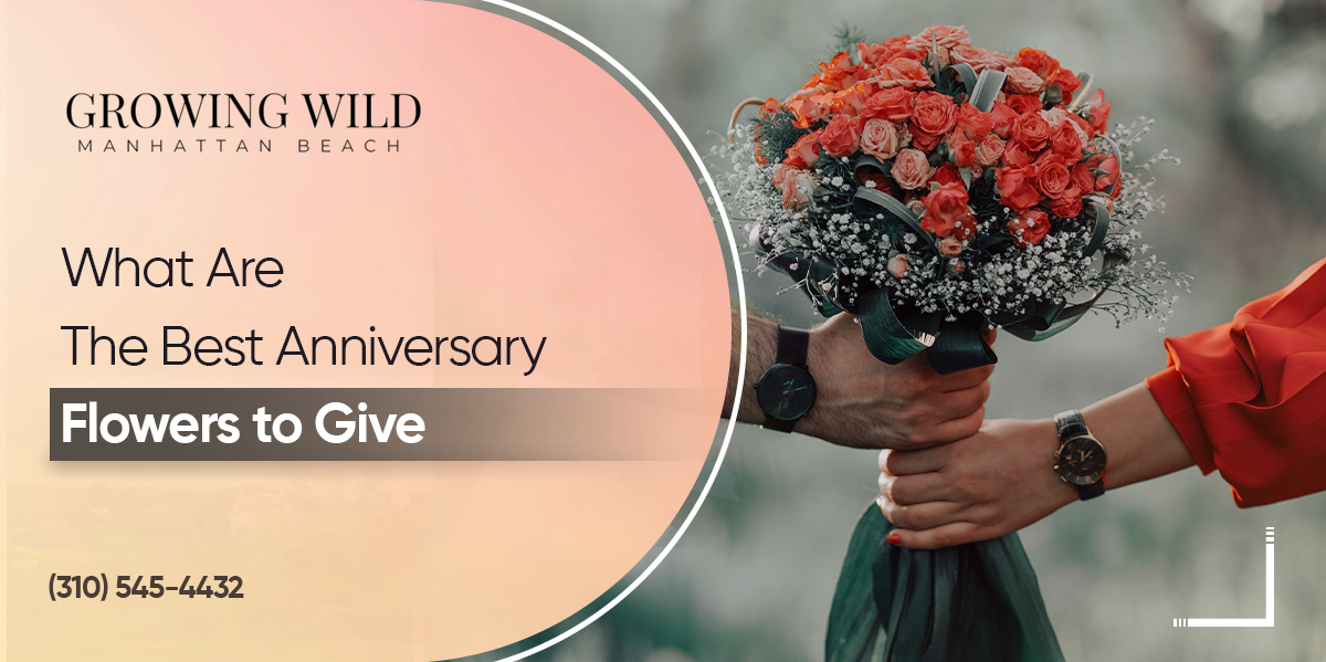 What Are The Best Anniversary Flowers To Give?