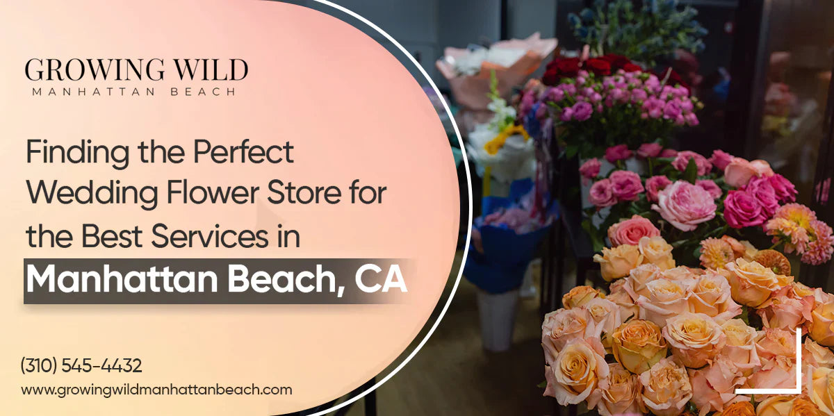 Finding the Perfect Wedding Flower Store for the Best Services in Manhattan Beach, CA