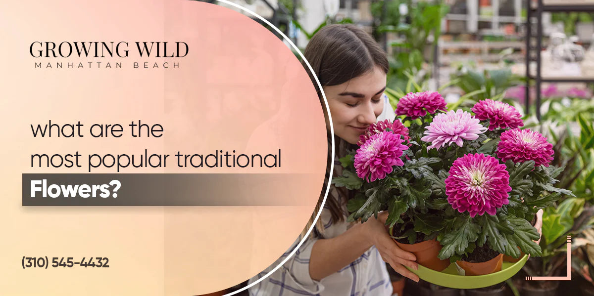 What Are The Most Popular Traditional Flowers?