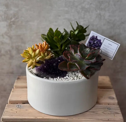 Amethyst Crystal Garden