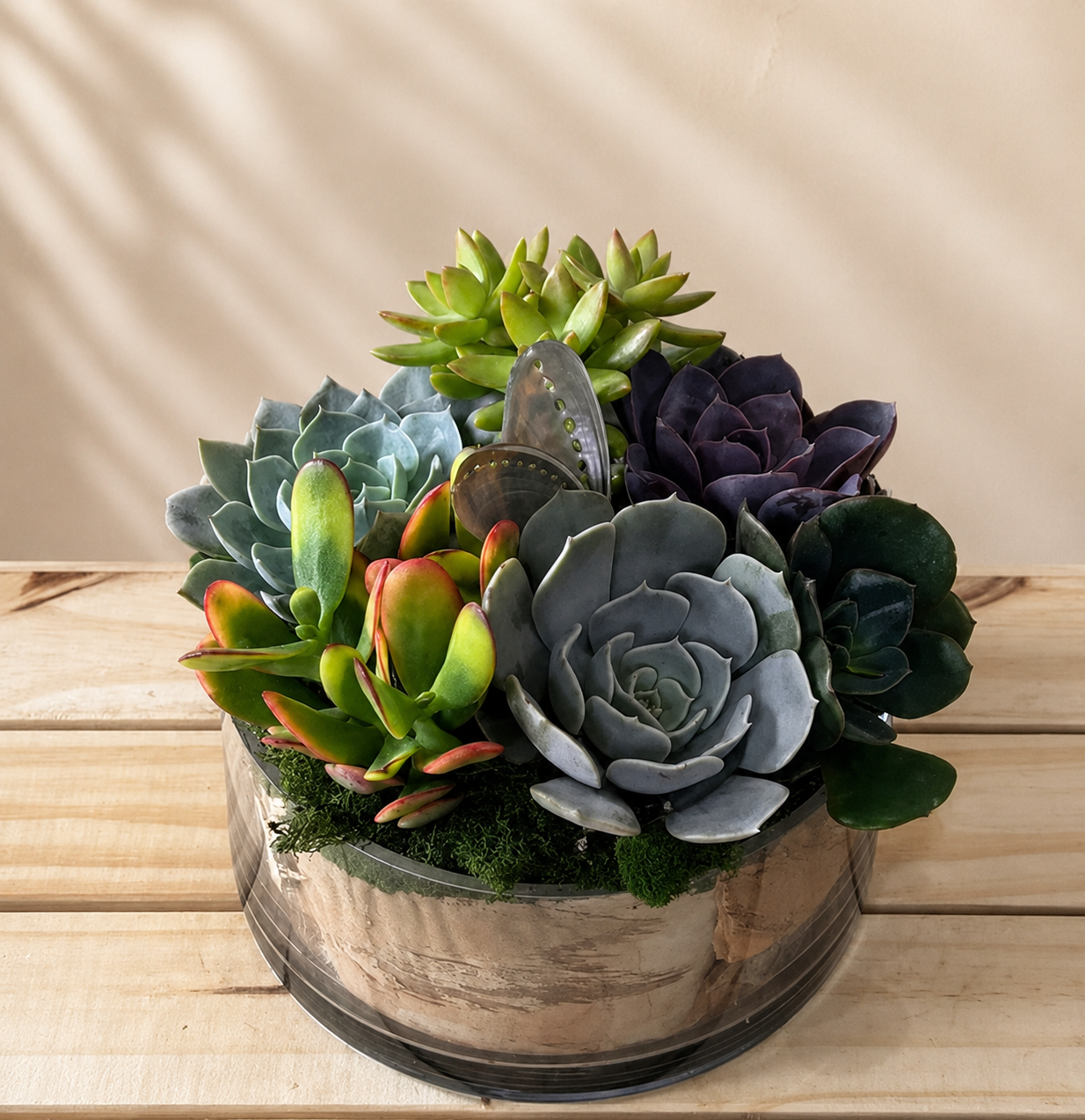Layered Succulent Plant Garden