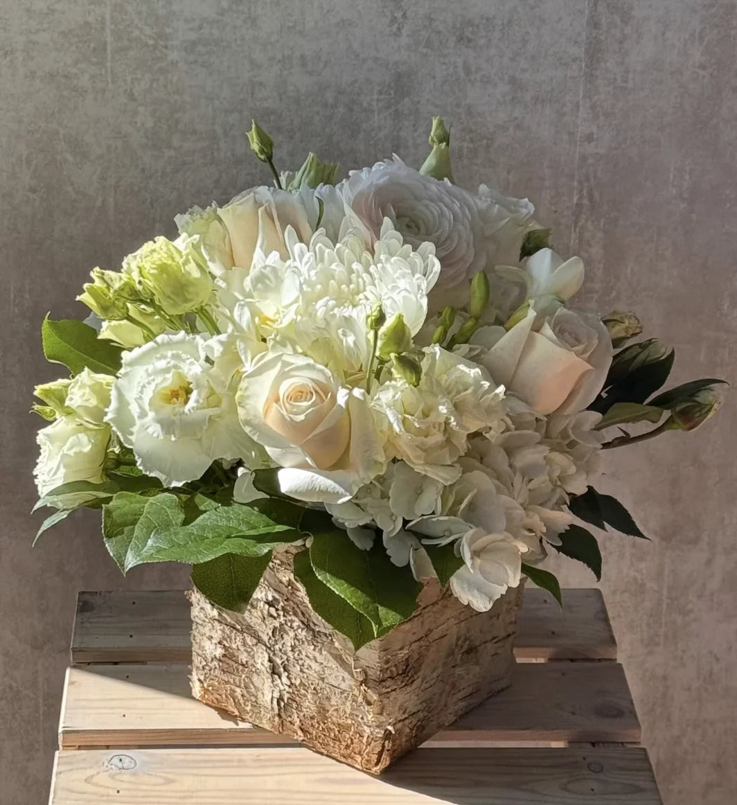 Monochromatic Birch Box