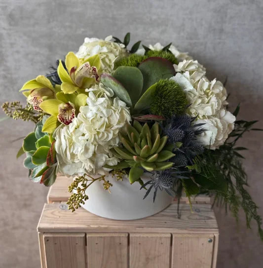 Succulent Wonderland