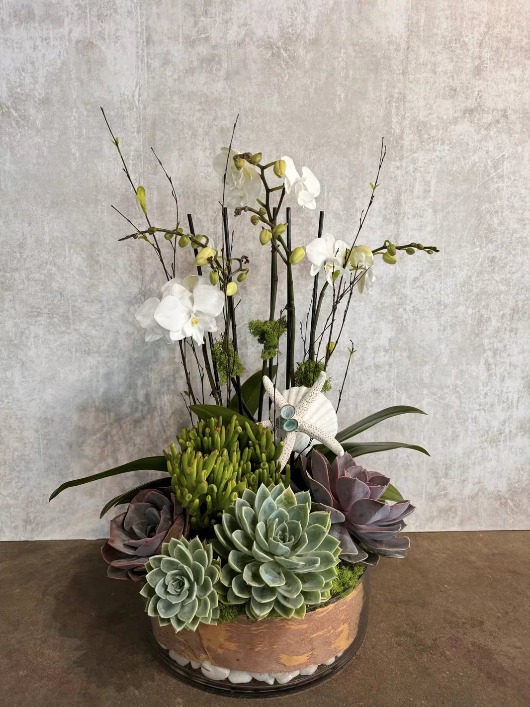 Seaside Succulent Garden With Orchids