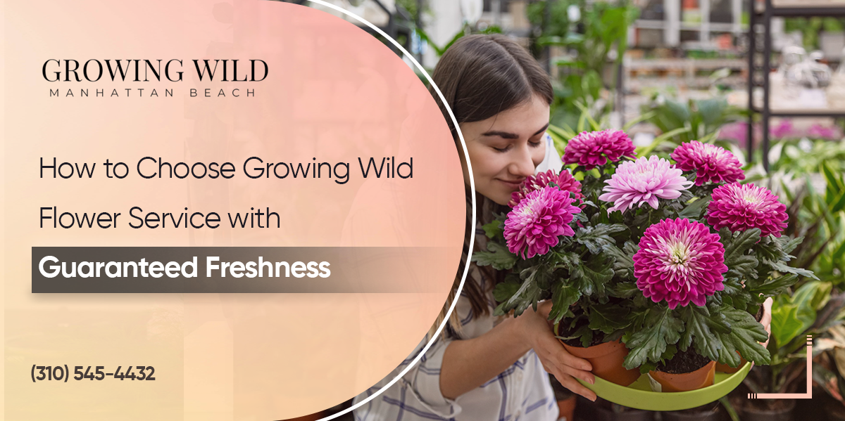How To Choose A Flower Service With Guaranteed Freshness?