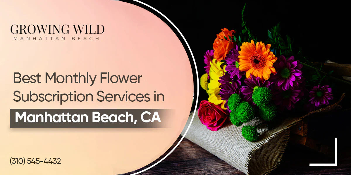Best Monthly Flower Subscription Services in Manhattan Beach, CA