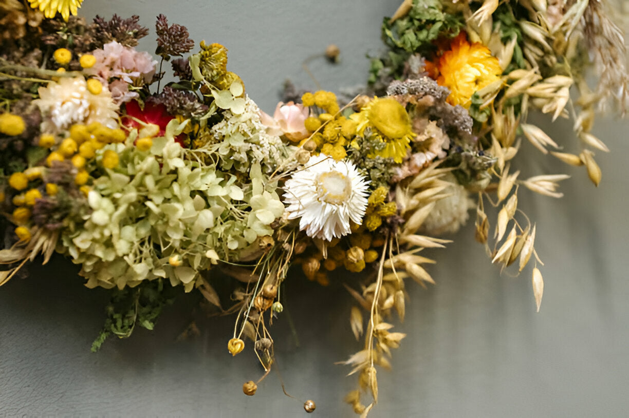 How To Care For Dried Flowers?