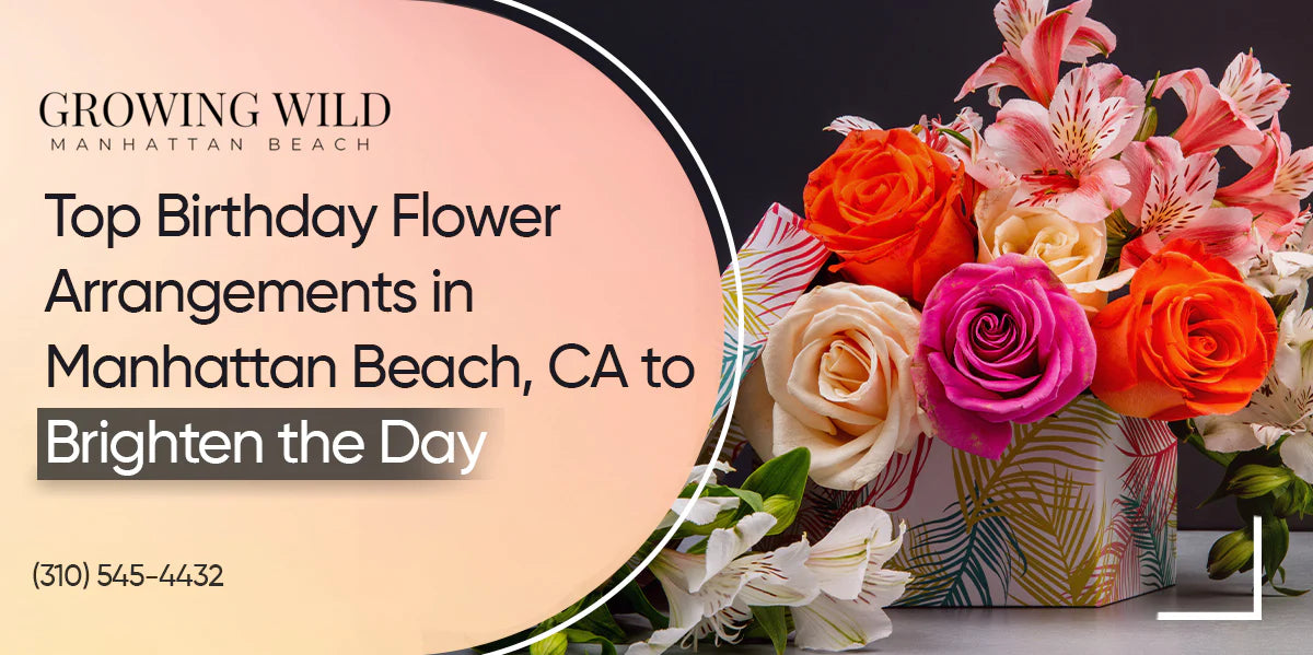 Top Birthday Flower Arrangements in Manhattan Beach, CA to Brighten the Day