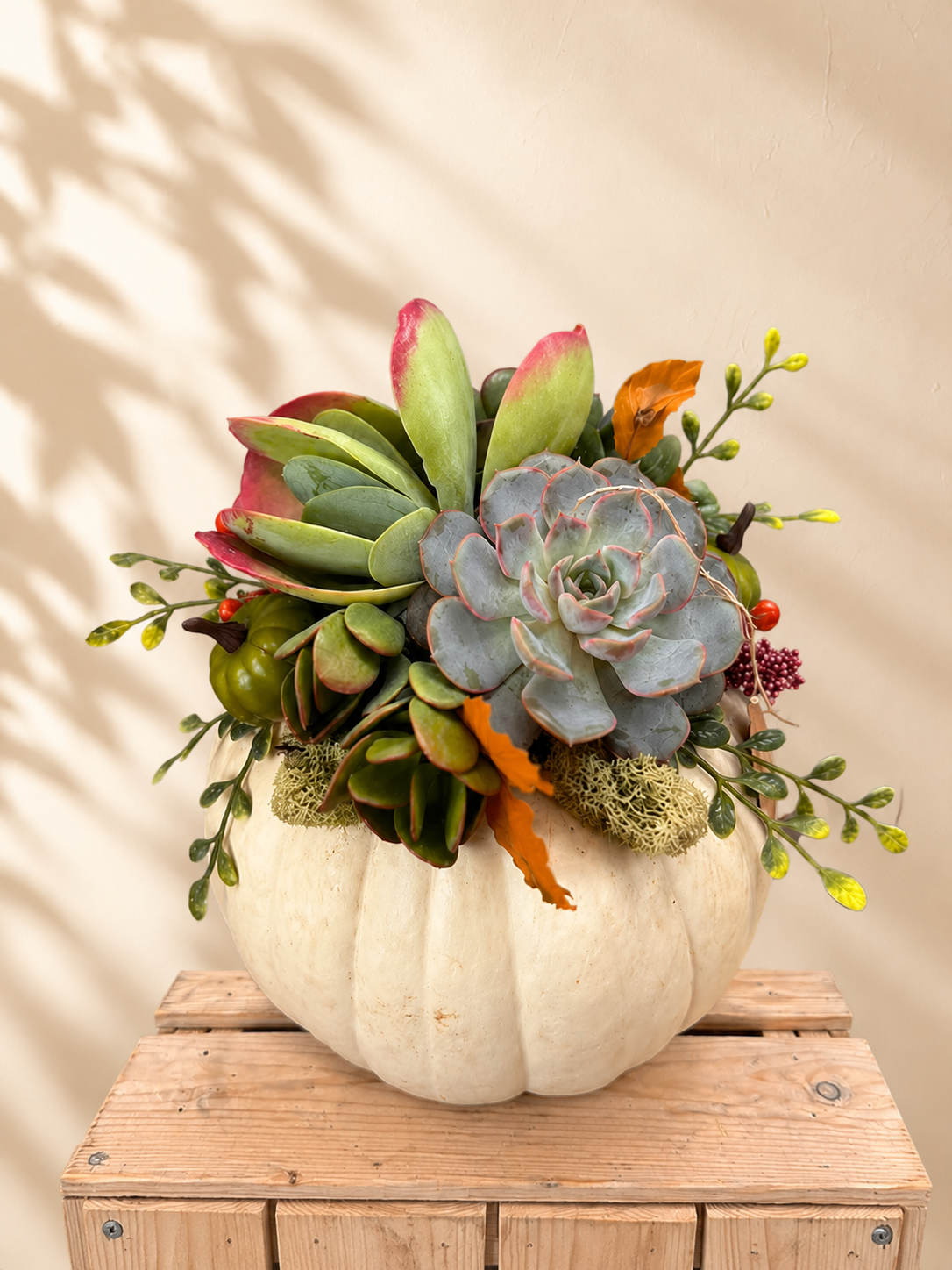 Medium Size Pumpkin