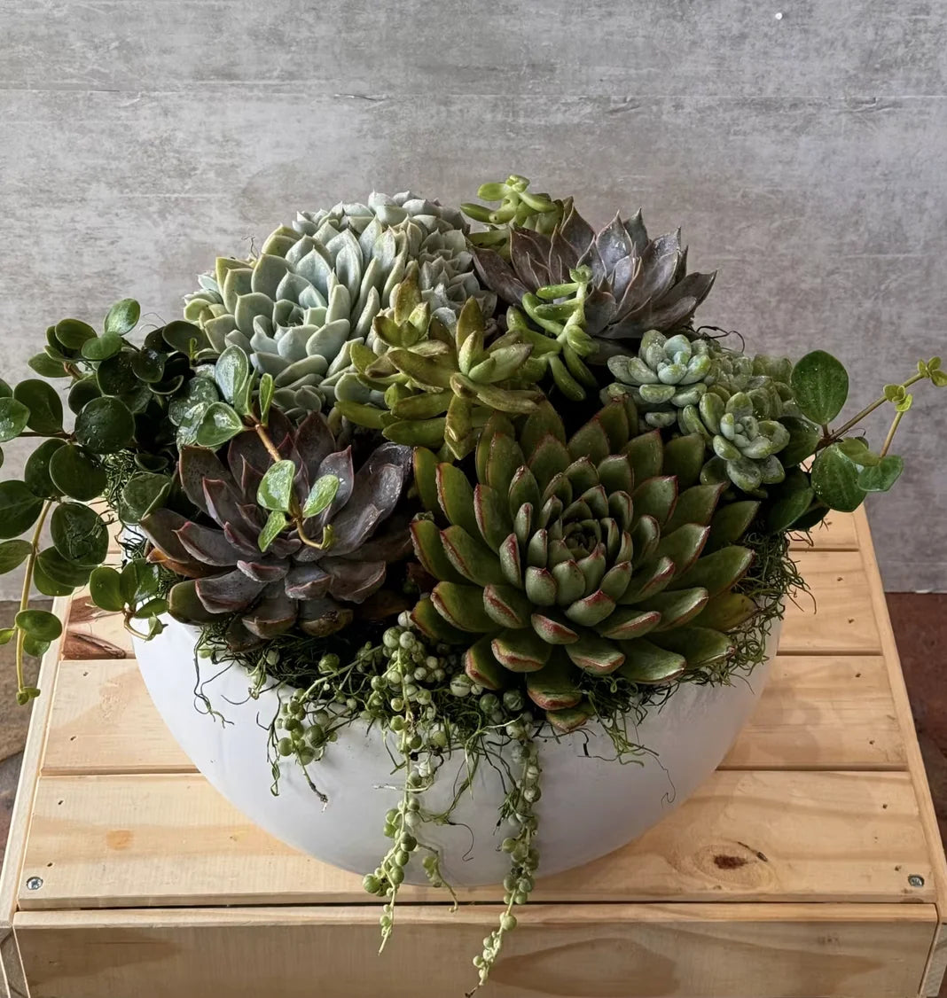 Evergreen Stones